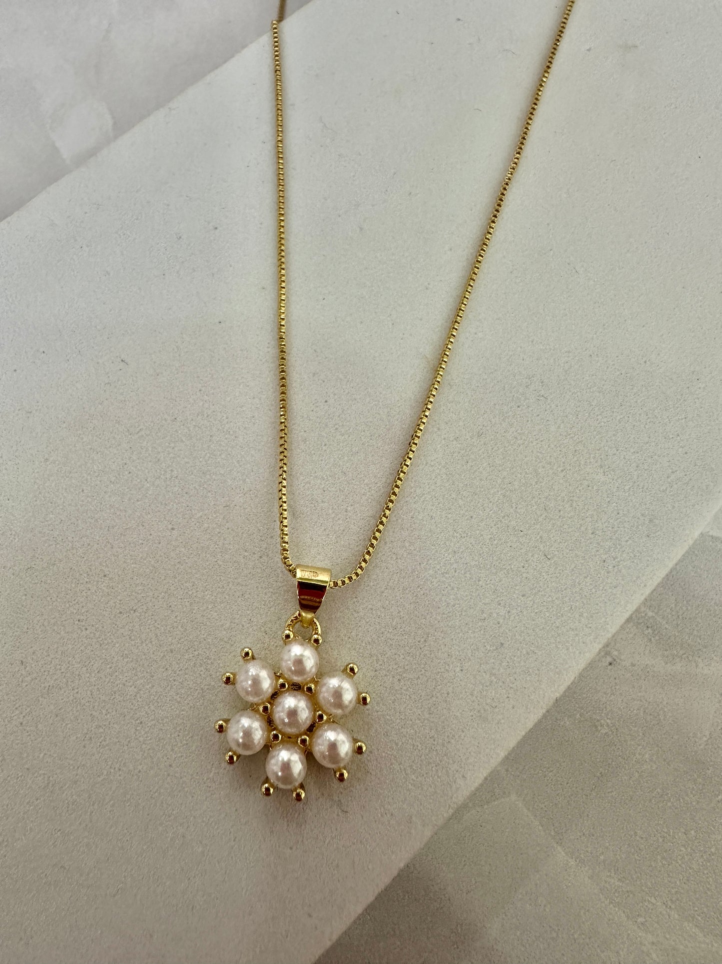 Collares variados “Nueva llegada”