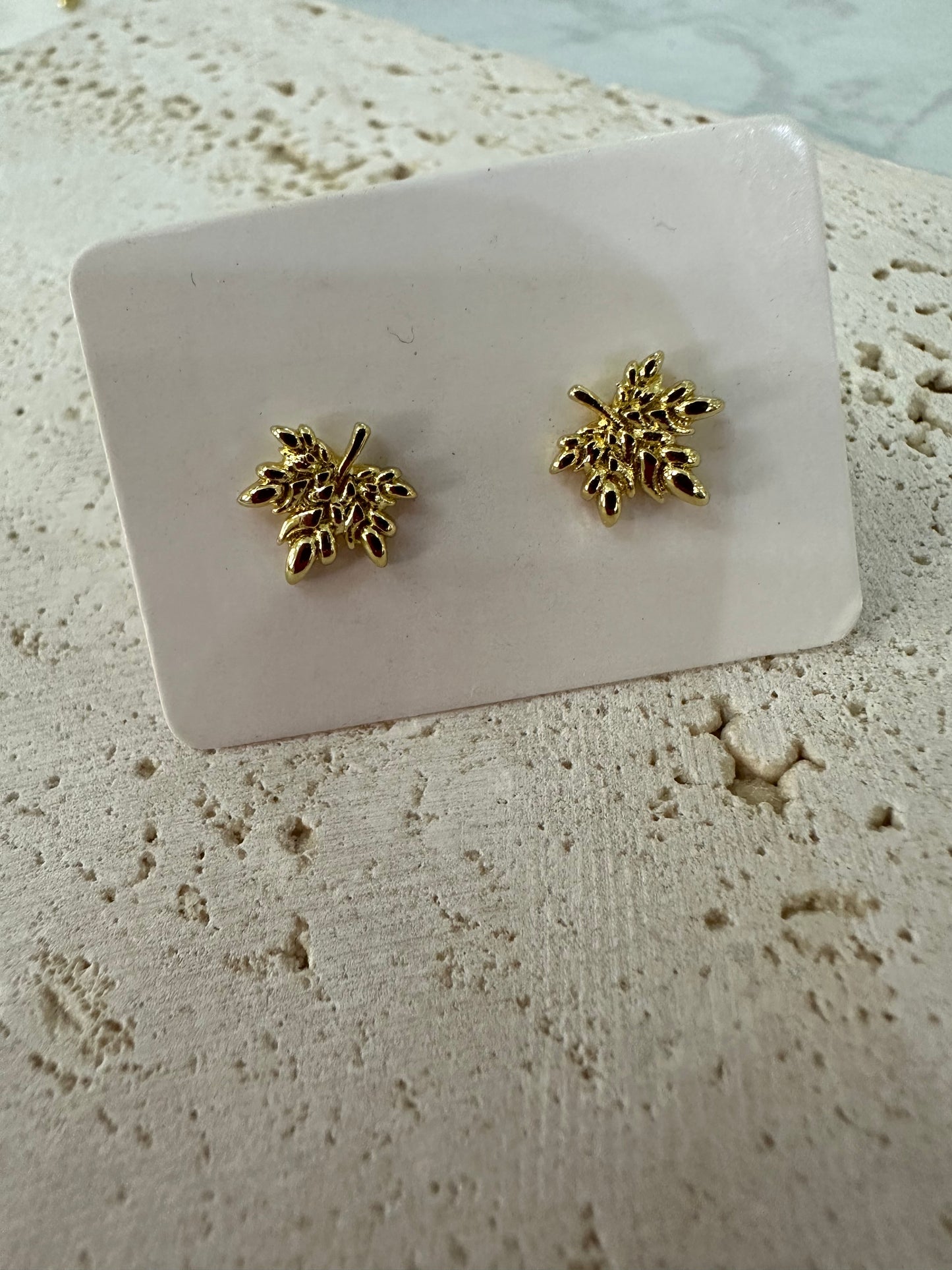 Pendientes variados “Nueva llegada”