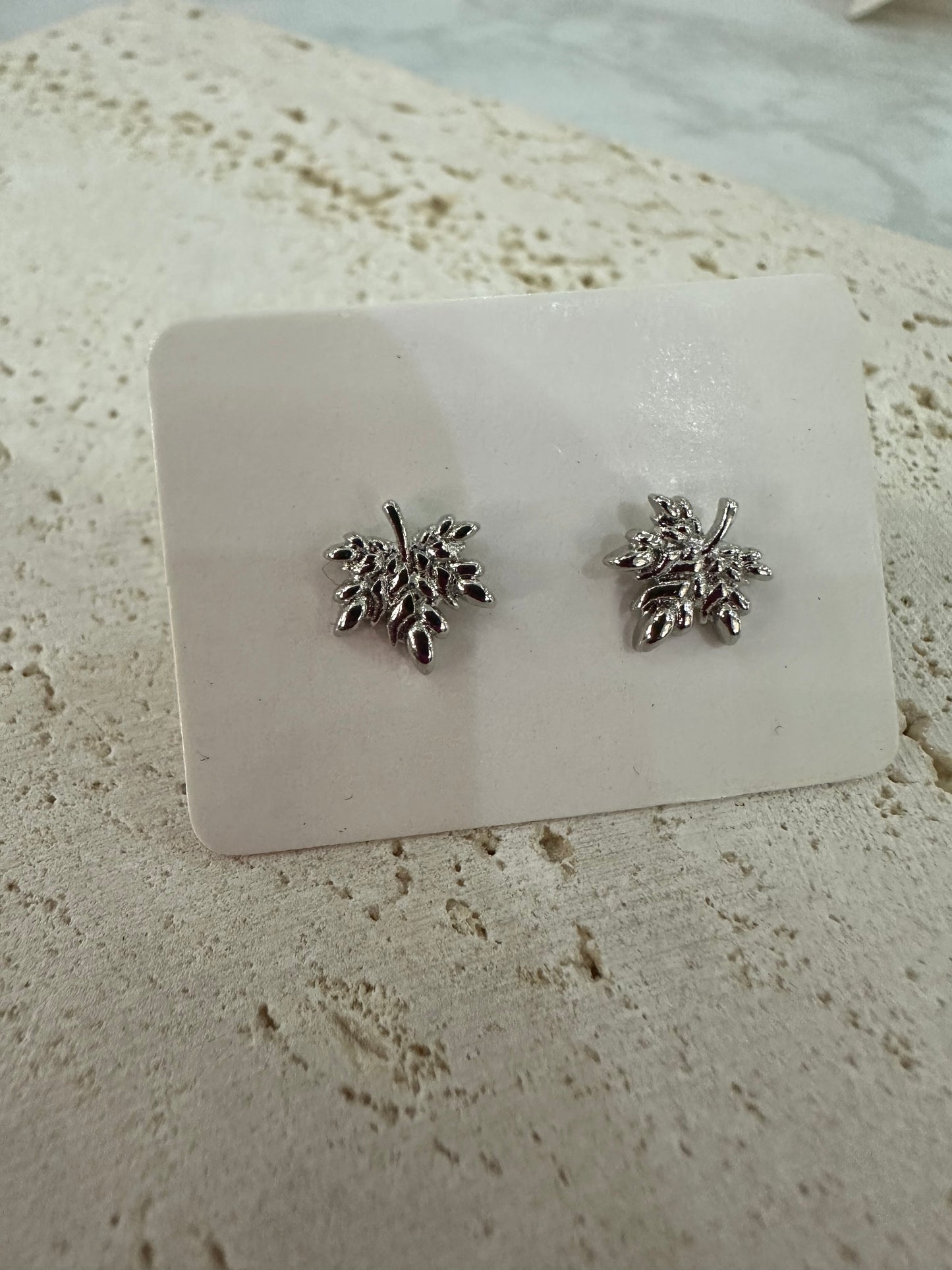 Pendientes plateados variados