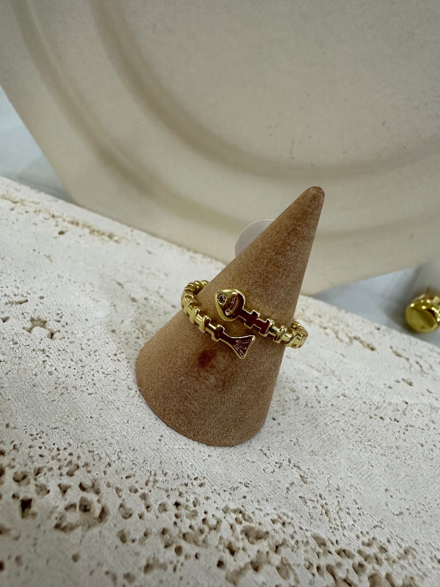 Anillos variados